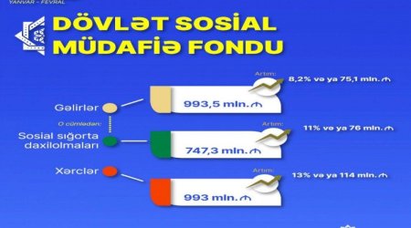 Son iki ayda DSMF-nin gəlirləri 8%-dən çox artıb