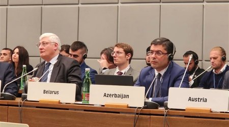 Azərbaycan nümayəndə heyəti Vyanada ATƏT-in toplantısında iştirak edib