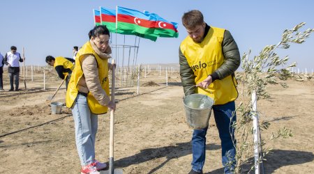 Yelo Bank принял участие в акции по посадке деревьев