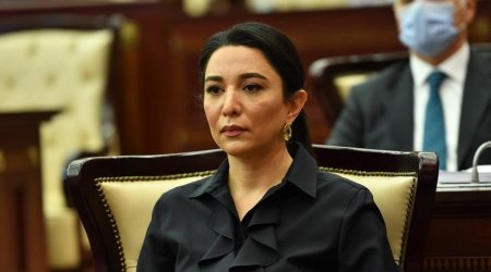 Ombudswoman: Armenia continues to pollute Azerbaijani territories with mines
