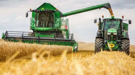 Bu il ərzaqlıq buğda üçün 180 milyon manat ayrılıb - Baş nazir