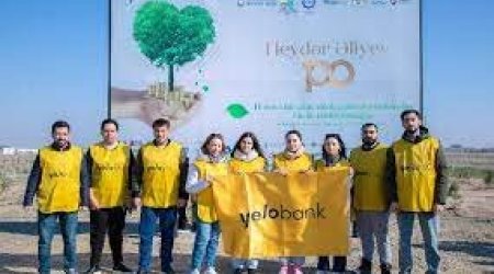 Yelo Bank принял участие в акции по посадке деревьев