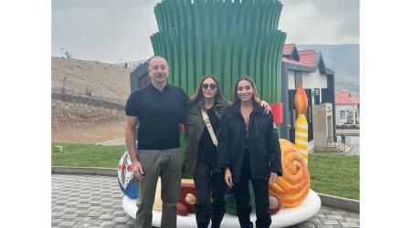 Mehriban Əliyeva Talış kəndindən paylaşım edib