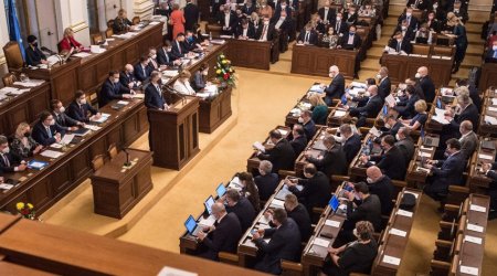 Парламент Чехии запретил депутатам пользоваться TikTok