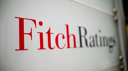 Число суверенных дефолтов достигло рекорда - Fitch