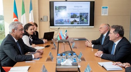 İtaliyanın xarici işlər nazirinin müavini ADA Universitetində olub