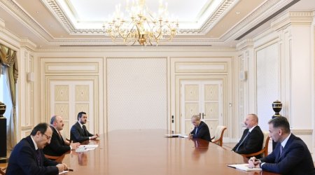 Prezident Türkiyənin sənaye və texnologiya nazirini qəbul edib