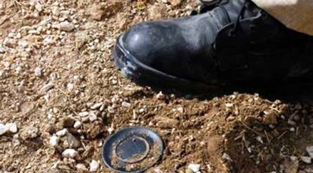 Müdafiə Nazirliyi 29 min hektar ərazini minalardan təmizləyib