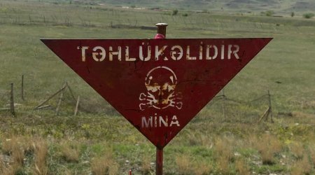 98 mines found in liberated territories of Azerbaijan