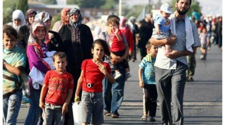 412 Azerbaijani citizens repatriated from Syria, Iraq - OFFICIAL