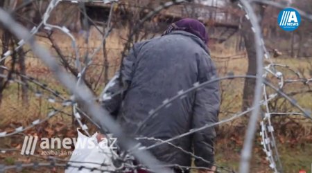 Gürcüstan və Cənubi Osetiya arasında  sərhədyanı kənddən - REPORTAJ