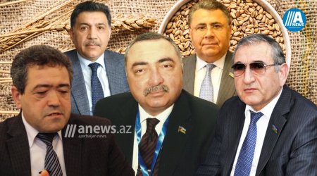 Rusiya taxıl müqaviləsini uzatmasa Azərbaycanda çörək bahalaşa bilərmi? - TƏHLİL