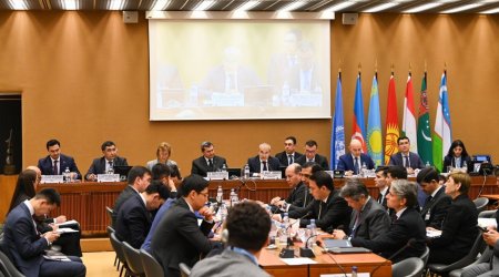 Cenevrədə Azərbaycanın SPECA-ya sədrliyi müddətində görüləcək işlər müzakirə edilib