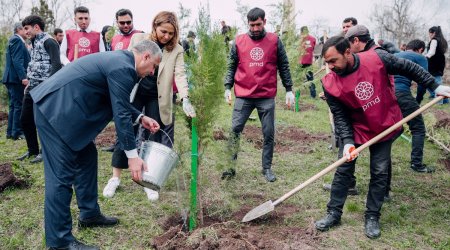 Növbəti 3 rayonda “Vətən Bağı” salındı