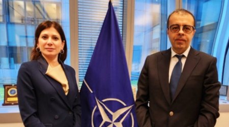Azərbaycan-NATO tərəfdaşlığı müzakirə edilib
