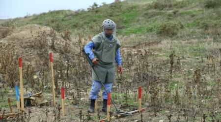 25 mines found in liberated territories of Azerbaijan