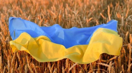 Avropa ölkələri Ukraynadan taxıl idxalı məsələsində razılığa gələ bilməyib