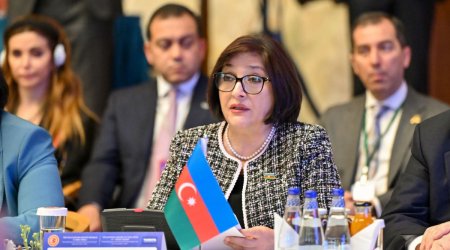Sahibə Qafarova TÜRKPA-nın 12-ci plenar iclasında çıxış edib