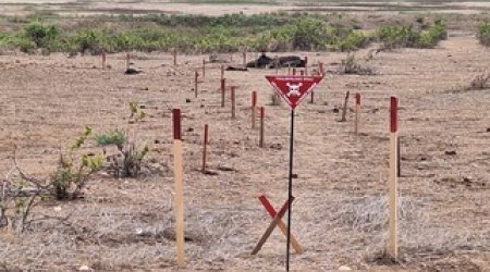 ANAMA mina hadisələrinin sayının artması ilə əlaqədar vətəndaşlara çağırış edib