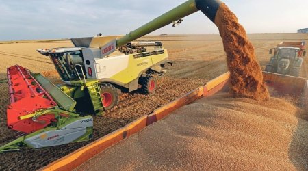 Taxıl dəhlizinin fəaliyyəti dayandırıla bilər