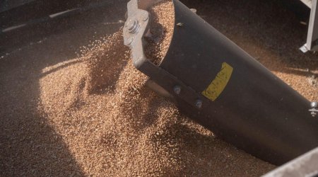 Daha bir ölkə Ukraynadan kənd təsərrüfatı məhsullarının idxalını dayandırıb