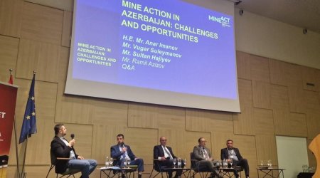 Xorvatiyada beynəlxalq simpoziumda Azərbaycanın mina problemi müzakirə olunub