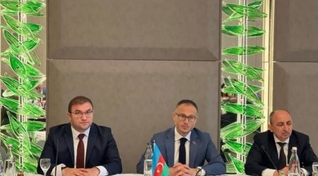 Berlində Qərbi Azərbaycana qayıdış mövzusunda konfrans keçirildi - FOTO