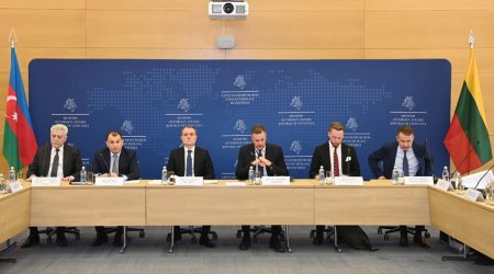 Litva şirkətləri və investorları azad edilmiş ərazilərdə layihələrdə iştiraka dəvət edilib
