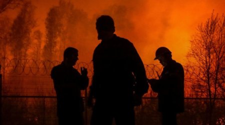 Rusiyada meşə yanğınlarında 20-dən çox insan həlak olub