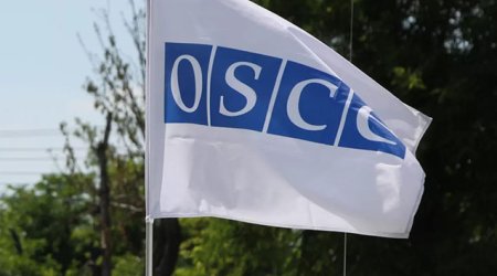 ATƏT-in iclasında erməni təxribatı pislənildi