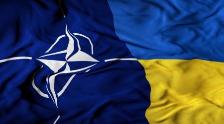 NATO və Ukrayna innovasiyalar üzrə dialoqa başlayıb
