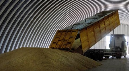 Avropa Komissiyası Ukraynadan taxıl idxalına qoyulan qadağanın müddətini uzadıb