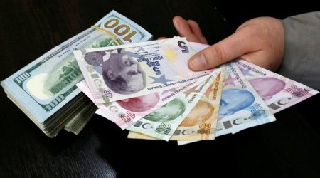 Turkish lira falls in price against dollar