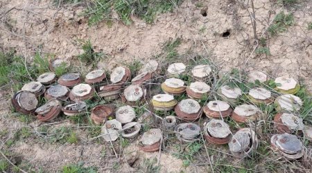 Sweden invited to participate in demining process in Azerbaijan's liberated territories