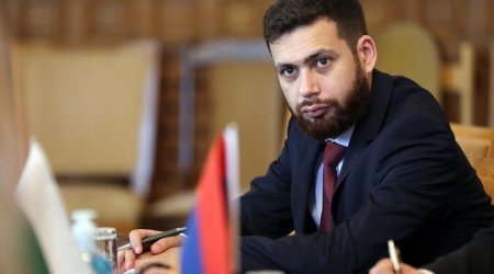 Armenian deputy FM, head of EU subcommittee mull normalization of relations with Ankara, Baku