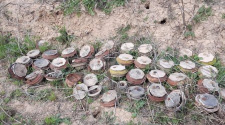 Number of mines found in liberated areas announced