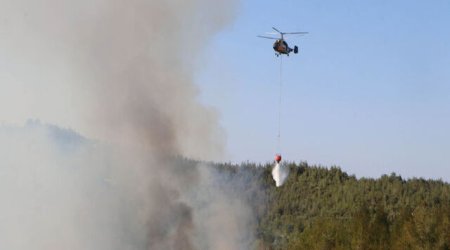 Adanada meşə yanğınları başlayıb