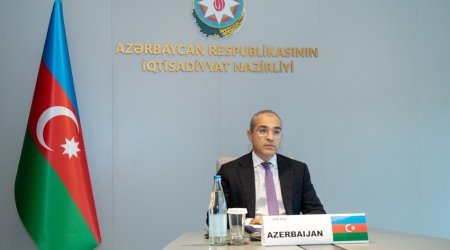 Микаил Джаббаров: Налоговые поступления от МСП выросли на 61%