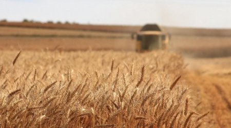 XİN başçısı: Rusiya taxıl müqaviləsini uzatmaq üçün heç bir səbəb görmür