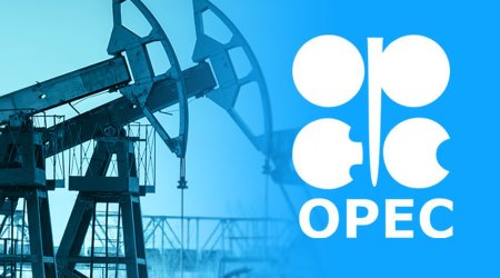 OPEC Azərbaycana təşkilata üzv olmağı təklif edib