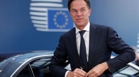 Niderland hökuməti tam tərkibdə istefa verib