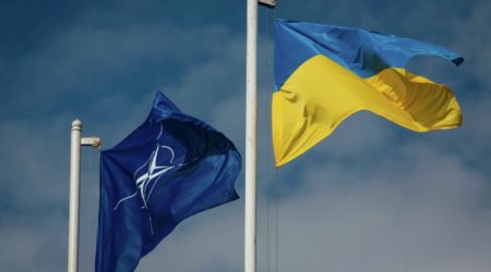 Bild: US, Germany blocking Ukraine’s official application for NATO membership