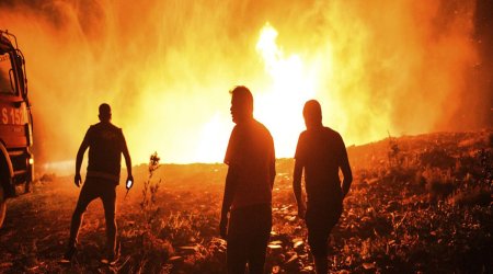 El Pais: Kanar adalarında meşə yanğını səbəbindən 4 mindən çox insan təxliyə edilib