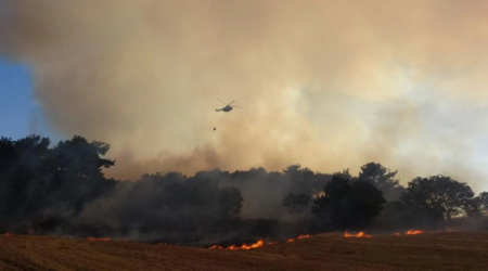 Türkiyənin bir neçə vilayətində meşələr yanır