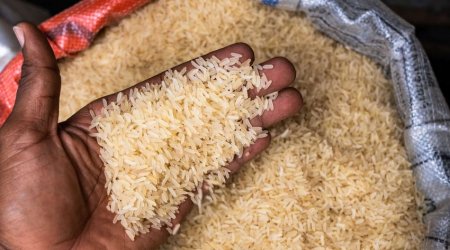 Hindistan ağ düyü ixracını qadağan edib