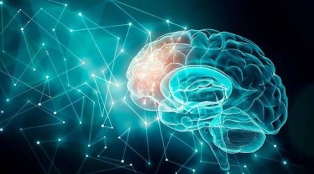 Dünyada insan beyni olan ilk çip yaradıldı