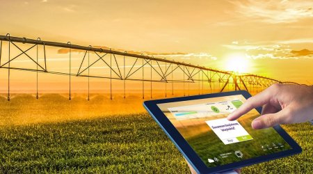 Azercell Business integrates cutting-edge technologies in the agricultural industry