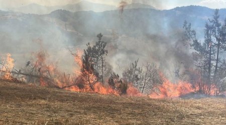 Kahramanmaraşda meşə yanğını başlayıb