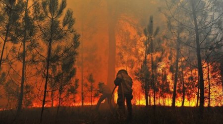 Kanadada 13,4 milyon hektar meşə sahəsi yanıb