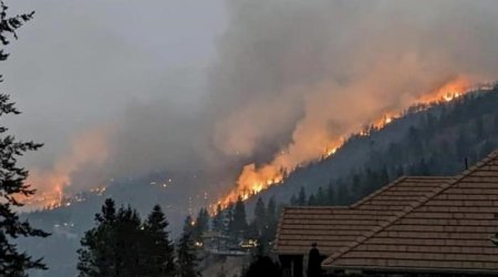 Kanadada şiddətli meşə yanğınları davam edir